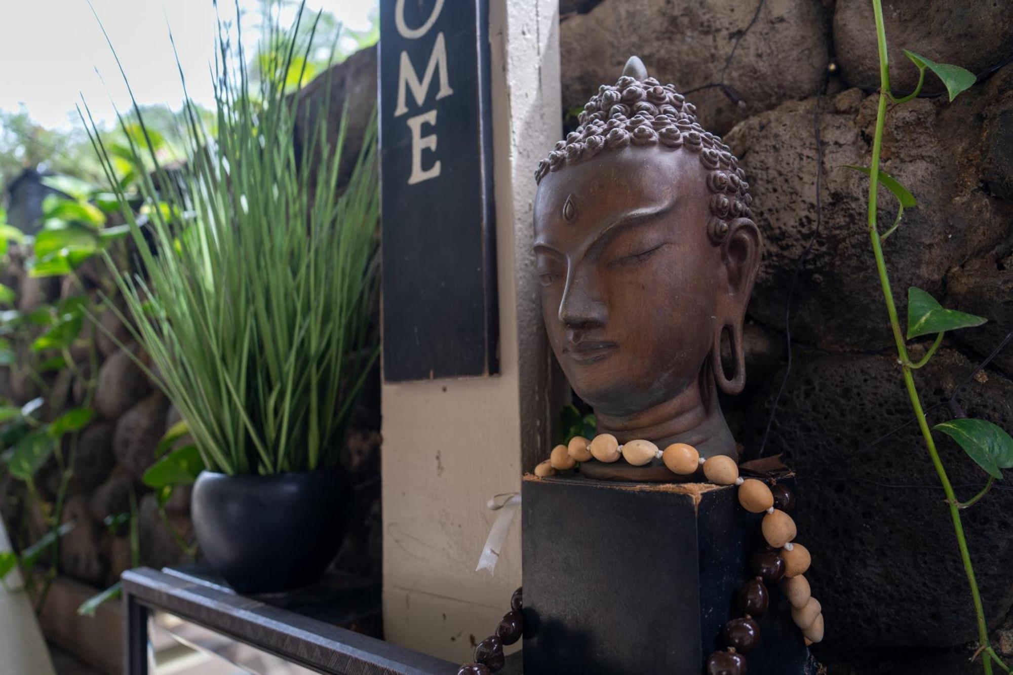 Unit 18 Maui Ohana Modern Studio Wailuku Dış mekan fotoğraf